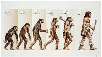 1.5 ദശലക്ഷം വർഷം മുമ്പ് ആദ്യകാല മനുഷ്യവർഗ്ഗങ്ങള്‍ ഒരുമിച്ച് ജീവിച്ചിരുന്നെന്ന് ഗവേഷകര്‍