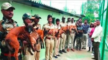 ಚಾಮರಾಜನಗರ: ಬಂಡೀಪುರದಲ್ಲಿ ದೇಶದಲ್ಲೇ ಪ್ರಥಮ ಶ್ವಾನದಳ ಕೇಂದ್ರ 