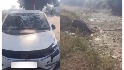 ഗൂഗിൾ മാപ്പ് കാണിച്ചുകൊടുത്ത എളുപ്പവഴി തെരഞ്ഞെടുത്തു; കനാലിൽ വീണ കാർ ട്രാക്ടറിൽ കെട്ടിവലിച്ചുകയറ്റി നാട്ടുകാർ