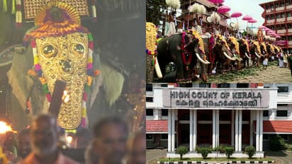 സാമാന്യബുദ്ധിപോലുമില്ലേ? മതത്തിന്റെ പേരിൽ എന്തും ചെയ്യാമെന്ന് കരുതരുത്, ആന എഴുന്നള്ളിപ്പ് കേസില് ഹൈക്കോടതി