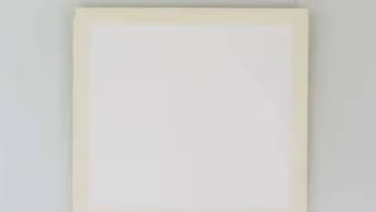 ശൂന്യമായൊരു കാൻവാസ്, വില കേട്ടാൽ അമ്പരക്കും, കോടികളുടെ വാഴപ്പഴത്തിന് ശേഷം വാർത്തയായി കലാസൃഷ്ടി