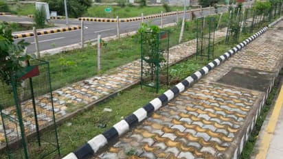 கும்பமேளா 2025: ஆக்சிஜன் வங்கியுடன் பசுமை நகரமாகும் பிரயாக்ராஜ்!