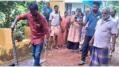 പുലർച്ചെ 5 മണിയ്ക്ക് അസാധാരണമായി വളർത്തുപട്ടിയുടെ കുര, ഇറങ്ങി നോക്കിയ വീട്ടുകാർ ഞെട്ടി; മലമ്പാമ്പിനെ പിടികൂടി