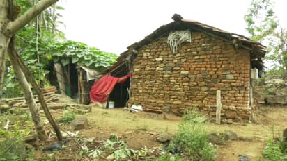 ಕರ್ನಾಟಕದ ಗಡಿಭಾಗದಲ್ಲಿದೆ ಮತ್ತೊಂದು ಜಗತ್ತು; ಇಲ್ಲಿದ್ದಾರೆ ಸೂರು ಇಲ್ಲದ ಸೋಲಿಗರು!