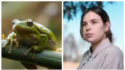 രോഗശാന്തിക്കിടെ തവള വിഷം അടങ്ങിയ പാനീയം കുടിച്ച മെക്സിക്കന്‍ നടി മരിച്ചു