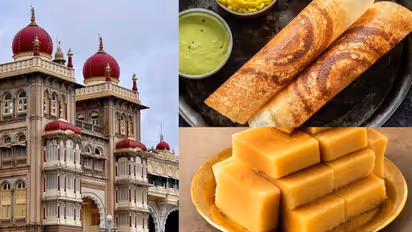 Karnataka Food: 7 must-try dishes to enjoy Mysore's culinary scene