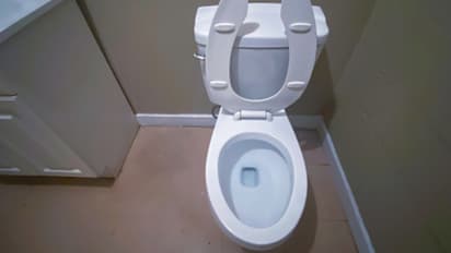 ಕೊಳಕು ಟಾಯ್ಲೆಟ್ ಸೀಟನ್ನು ಉಜ್ಜಲು ಬ್ರಷ್ ಬೇಕಿಲ್ಲ..ವೈರಲ್ ಆಯ್ತು ಅಮೆರಿಕದ ಈ ವಿಧಾನ  