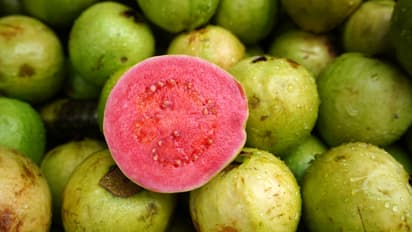 പേരയ്ക്ക കഴിച്ചാൽ ലഭിക്കുന്ന ആരോഗ്യഗുണങ്ങൾ