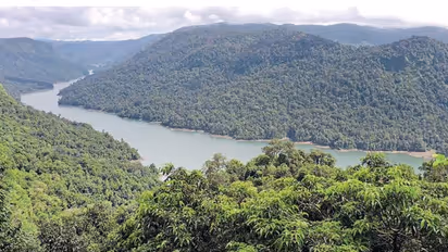 Shivamogga: ಶರಾವತಿ ಪಂಪ್ಡ್‌ ಸ್ಟೋರೇಜ್‌ ಪ್ರಾಜೆಕ್ಟ್‌; ಪಶ್ಚಿಮ ಘಟ್ಟದಲ್ಲಿ ಡ್ರಿಲ್ಲಿಂಗ್‌, ಬ್ಲಾಸ್ಟಿಂಗ್‌, 14 ಸಾವಿರ ಮರ ಕಟ್