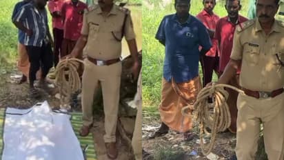 തൃപ്പൂണിത്തുറയിൽ 55 കാരൻ മരക്കൊമ്പിൽ തൂങ്ങി മരിച്ച നിലയിൽ; കൂടെ മദ്യപിച്ചവരിൽ ഒരാൾ കസ്റ്റഡിയിൽ, അന്വേഷണം