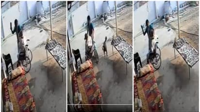 SHOCKING! Telangana woman slaps, thrashes wheelchair-bound father-in-law with shoe (WATCH)