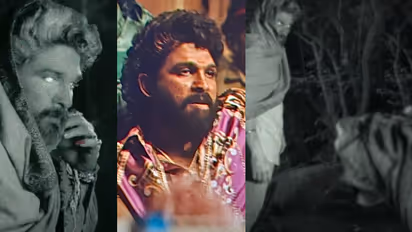 'സുകുമാര്‍, ആദ്യ പ്രൊമോയിലെ കടുവ സീന്‍ എവിടെ'? 'പുഷ്‍പ 2' കണ്ട ആരാധകര്‍ ചോദിക്കുന്നു