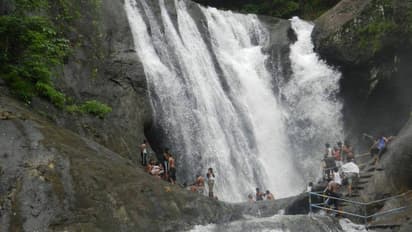 ஐயப்ப பக்தர்களே! குற்றாலம் மட்டுமில்ல தென்காசி பக்கத்துல இந்த 2 அருவிகளையும் மிஸ் பண்ணாதீங்க!