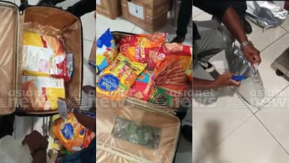 വിമാനത്തിൽ കൊച്ചിയിലെത്തിയ യുവാവിൻ്റെ ട്രോളി ബാഗിൽ നിറയെ ഭക്ഷണപൊതികൾ; തുറന്നപ്പോൾ കിട്ടിയത് ഹൈബ്രിഡ് കഞ്ചാവ്