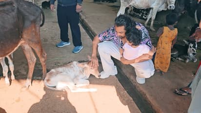 ಕಸಾಯಿಖಾನೆಯಿಂದ ರಕ್ಷಿಸಿದ ಹಸುಗಳ ಗೋಶಾಲೆಗೆ ಹೆಂಡತಿ, ಮಕ್ಕಳೊಂದಿಗೆ ಭೇಟಿಕೊಟ್ಟ ಧ್ರುವ ಸರ್ಜಾ