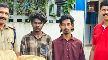 ആന്ധ്ര ടു തൃശൂര്‍ കെഎസ്ആര്‍ടിസി, യാത്രക്കാരായി 19ഉം 22ഉം വയസുള്ളവര്‍, പരിശോധനയിൽ പിടിച്ചത് 13 കിലോ കഞ്ചാവ്