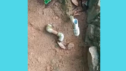 വിറ്റാൽ 50 രൂപ പോലും കിട്ടില്ല, പറഞ്ഞിട്ടെന്ത്; പട്ടാപ്പകൽ 4 വീടുകളിലെ വാട്ടർമീറ്റര് അടിച്ചുമാറ്റി മോഷ്ടാക്കൾ