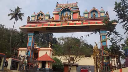 தென்காசி பக்கத்தில் இருக்கும் 3 புகழ்பெற்ற ஐயப்பன் கோயில்கள்; பக்தர்களே மிஸ் பண்ணாதீங்க!