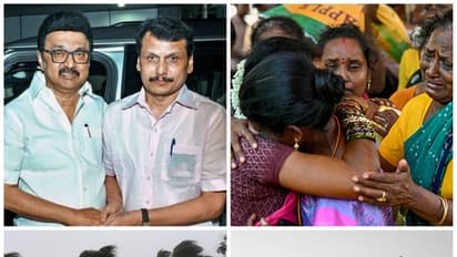 விஜய்யின் அரசியல் சூறாவளி முதல் பெஞ்சல் புயல் வரை.! தமிழகம் 2024 பிளாஷ் பேக் இதோ..