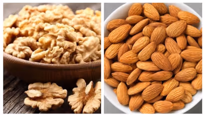 Health Tips : വാൾനട്ടോ ബദാമോ? മുടിയുടെ ആരോഗ്യത്തിന് ഏറ്റവും നല്ലത് ഏതാണ്?