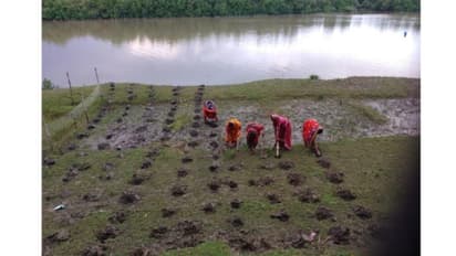 World Soil Day: Combating Degradation with Nature-Based Solutions