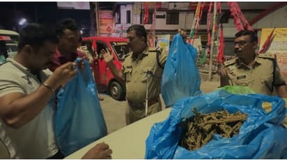 കാലടി ടൗണിൽ കഞ്ചാവ് വേട്ട; പിടിച്ചത് 9.5 കിലോ, പശ്ചിമ ബംഗാൾ സ്വദേശികൾ ഉൾപ്പെടെ 3 പേർ പിടിയിൽ