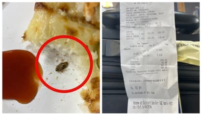 എയർപോർട്ടിൽ നിന്നും വാങ്ങിയ 200 രൂപയുടെ ബ്രെഡ് പക്കോഡയില്‍ ചത്ത പാറ്റ; ദുരന്തമെന്ന് സോഷ്യല്‍ മീഡിയ 