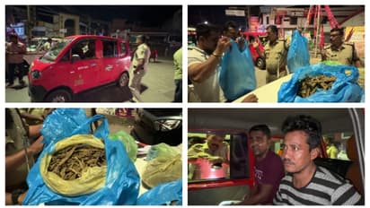 കാലടി ടൗണിൽ ഓട്ടോറിക്ഷയിൽ പരിശോധന നടത്തി പ്രത്യേക സംഘവും പൊലീസും; ഒൻപതര കിലോ കഞ്ചാവുമായി 3 പേർ പിടിയിൽ
