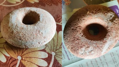 Shivamogga: ಹಿಂಡ್ಲೆಮನೆಯಲ್ಲಿ 3500 ವರ್ಷ ಹಿಂದಿನ ನವಶಿಲಾಯುಗ ಕಾಲದ ಕಲ್ಲಿನ ಉಂಗುರ ಪತ್ತೆ!