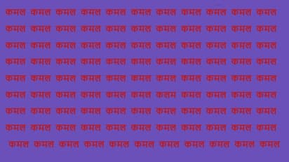 Optical Illusion Game 14 December 