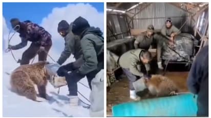 ടിന്നിനുള്ളില്‍ തല കുടുങ്ങിയ ഹിമാലയന്‍ കരടിയെ രക്ഷപ്പെടുത്തുന്ന ഇന്ത്യന്‍ സൈനികര്‍; അഭിനന്ദിച്ച് സോഷ്യൽ മീഡിയ 