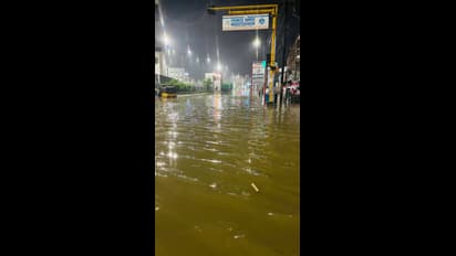 வெள்ளத்தில் மிதக்கும் திருநெல்வேலி; செங்கோட்டை-கேரளா சாலை துண்டிப்பு; சபரிமலை பக்தர்கள் தவிப்பு!