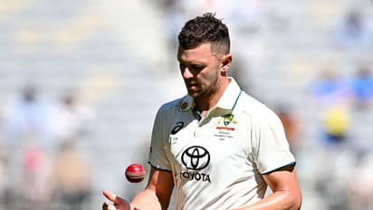 AUS vs IND, Brisbane Test: Hazlewood replaces Boland as Australia look to regain dominance at the Gabba
