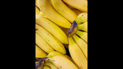 ఉదయాన్నే అరటి పండ్లు తింటే ఏమౌతుంది?