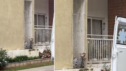 Man jumps to death from Galleria apartment in Bengaluru's Yelahanka, probe underway