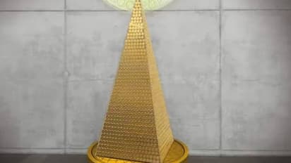 തനിത്തങ്കം തന്നെ; ക്രിസ്മസ് ട്രീയുടെ വില കേട്ടാൽ ആരായാലും അമ്പരന്നു പോകും, 47 കോടി രൂപ..!