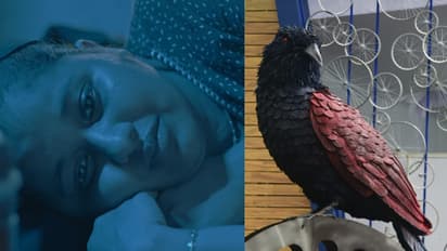 ഐഎഫ്എഫ്‍കെയില്‍ ഫെമിനിച്ചി ഫാത്തിമ, 67 ചിത്രങ്ങള്‍ ഇന്ന്