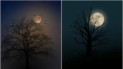 Cold Moon 2024: Can it be seen from India? Know date, time, significance