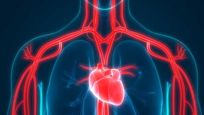 ഹൃദയാരോഗ്യം സംരക്ഷിക്കാന്‍ ചെയ്യേണ്ട ആറ് കാര്യങ്ങള്‍