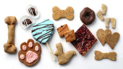 Have a sweet tooth but worried for health? Here's exact number of weekly sweet treats that's 'safe' for heart