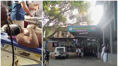 വയനാട്ടിൽ വീണ്ടും കാട്ടാന ആക്രമണം; റിസോർട്ടിലെ നിർമാണ തൊഴിലാളിക്ക് ഗുരുതര പരിക്ക്