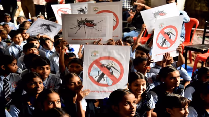 India reduces malaria caseload, deaths by 69% each from 2017 and 2023, says WHO report