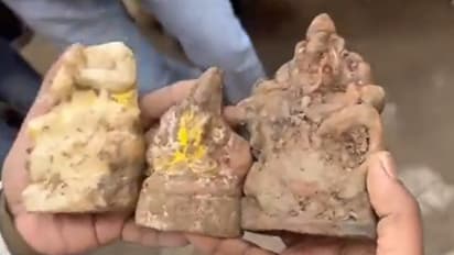 Viral video: Three damaged idols found inside well of Sambhal temple days after reopening (WATCH)