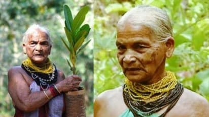 Breaking: ಕನ್ನಡದ ಪರಿಸರ ಪ್ರೇಮಿ, ಪದ್ಮಶ್ರೀ ಪುರಸ್ಕೃತೆ ತುಳಸಿ ಗೌಡ ಇನ್ನಿಲ್ಲ