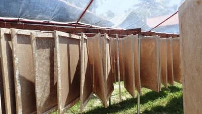 ಯಾವುದೇ ಡಿಗ್ರಿ ಬೇಡ, ಮನೆಯಂಗಳದಲ್ಲಿಯೇ ವ್ಯವಹಾರ ಆರಂಭಿಸಿ, ವಾರಕ್ಕೆ ₹9 ಸಾವಿರ ಲಾಭ ಸಂಪಾದಿಸಿ