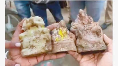 ಸಂಭಲ್ ದೇವಾಲಯದ ಬಾವಿಯಲ್ಲಿ ಹಾನಿಗೊಳಗಾದ ವಿಗ್ರಹಗಳು ಪತ್ತೆ