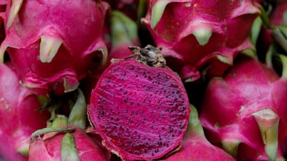 ഡയറ്റില് ഡ്രാഗണ് ഫ്രൂട്ട് ഉള്പ്പെടുത്തൂ; അറിയാം ഗുണങ്ങള്