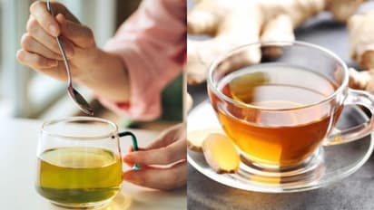ഇഞ്ചി ചായയോ ഗ്രീൻ ടീയോ? തണുപ്പ് കാലത്ത് കുടിക്കാൻ ഏറ്റവും നല്ലത് ഏതാണ്?