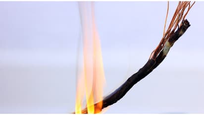 ആളൊഴിഞ്ഞ സ്ഥലത്ത് ഇലക്ട്രിക് വയറുകള് കത്തിച്ച് കോപ്പര് എടുത്തു വില്പ്പന; 5000 രൂപ തല്സമയ പിഴ ഈടാക്കി