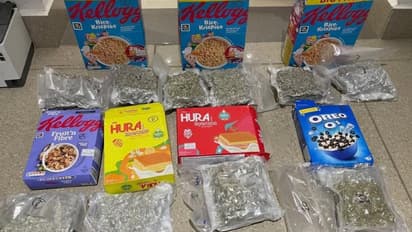 नाश्त्याच्या धान्यांच्या पॅकेटमध्ये हायड्रोपोनिक गांजा जप्त